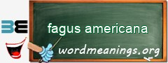 WordMeaning blackboard for fagus americana